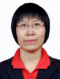 Professor Ping Zheng